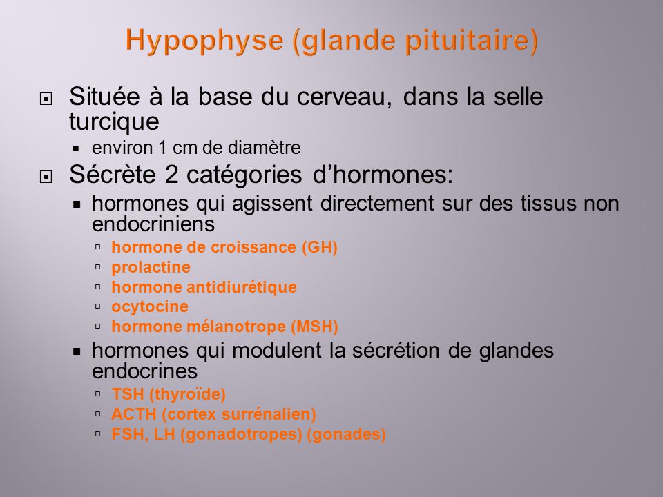 Unit Module Endocrine Histologie De Lhypophyse Et Des Surr Nales